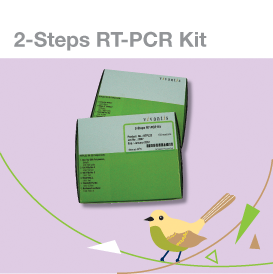 2 steps RT-qPCR kit